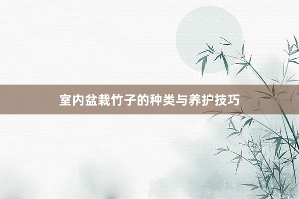 室内盆栽竹子的种类与养护技巧