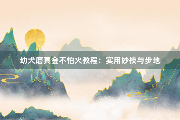 幼犬磨真金不怕火教程：实用妙技与步地