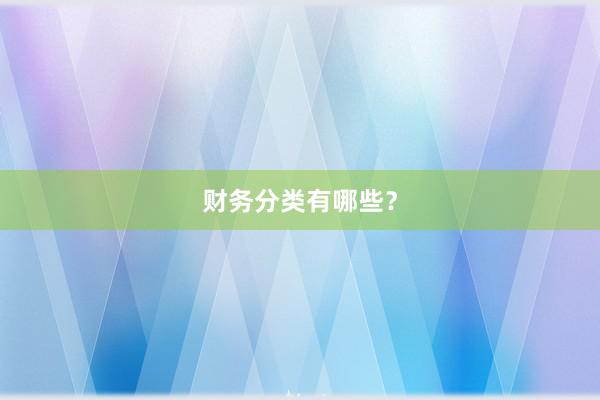 财务分类有哪些？