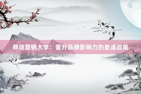 商场营销大学：晋升品牌影响力的要道政策